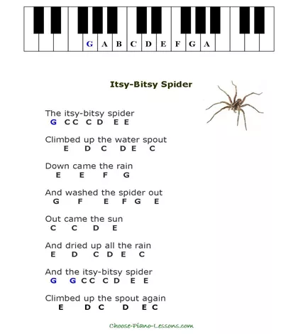 ITSY BITSY SPIDER